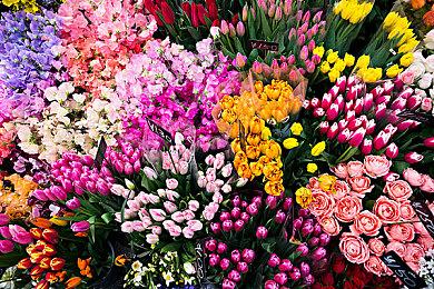 多人恐怖解密游戏《人魅》试玩版宣布2月4日上线